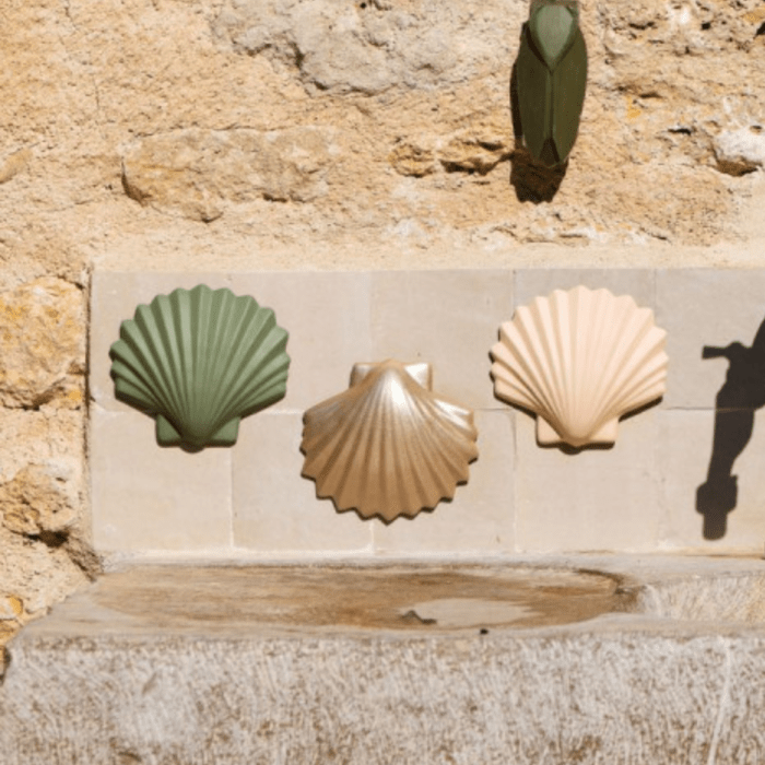 coquille calypso