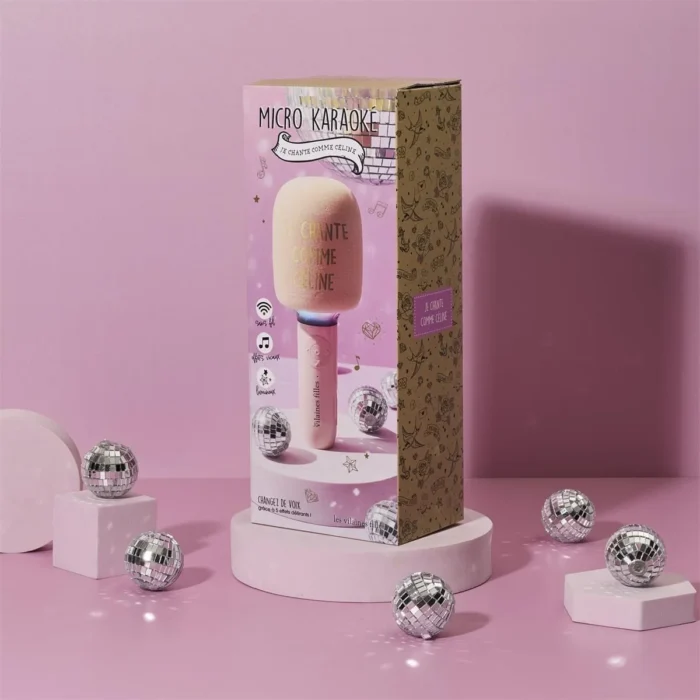 Micro Je chante comme Céline - Les Vilaines Filles